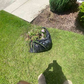 Flower Bed Weeding by Great cut lawn care reviewed on July 24, 2026