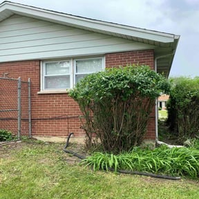 Bush Trimming by No Mow Worries!!! reviewed on August 9, 2023