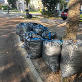 Leaf Removal by Deep Sweep Cleaning and Landscaping reviewed on March 20, 2026