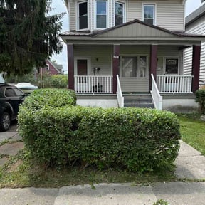 Bush Trimming by Tree service and moving reviewed on August 26, 2026
