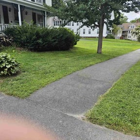 turf maintenance by Orpez Handy Man reviewed on May 29, 2024