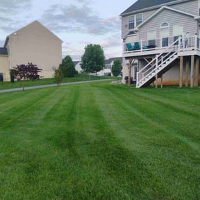 lawn care services by JD&#039;s Lawn Care reviewed on August 19, 2025