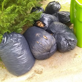 Leaf Removal by Jacob Gifford/Lawn Service LLC reviewed on September 25, 2025