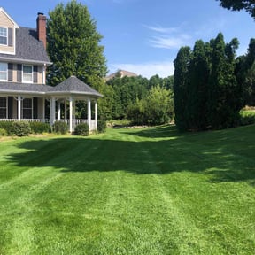 residential landscaping by Mr. Mow it all reviewed on August 16, 2025