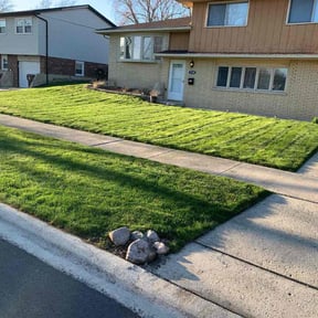 landscaping services by Alex's Lawn Care reviewed on August 16, 2025