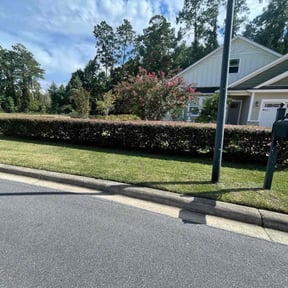 Bush Trimming by Them Joneses reviewed on November 23, 2025