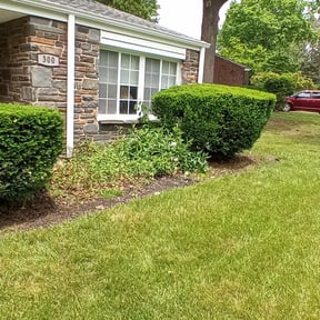 Bush Trimming by Mid-Atlantic Home Maintenance reviewed on August 13, 2025