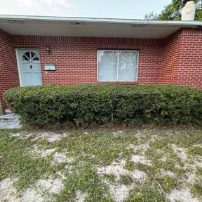 Bush Trimming by Brown Boy Services reviewed on November 18, 2025