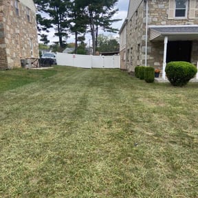 lawn care services by Orpez Handy Man reviewed on February 15, 2024