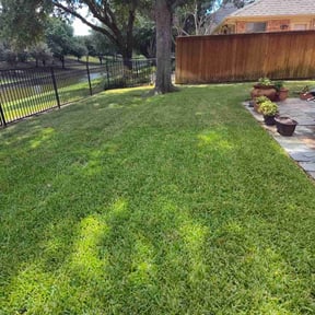 landscaping services by JT Lawn & Shrub reviewed on August 13, 2025