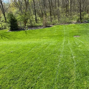yard care by T&amp;M Lawn Services reviewed on May 10, 2024