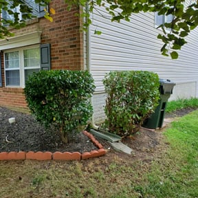 Bush Trimming by Garcia Lawn Maintenance reviewed on August 18, 2025