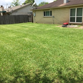 yard work by Anthony's Cleaning and Handyman services reviewed on December 6, 2025