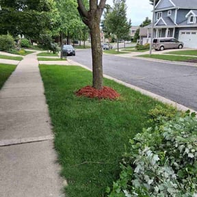 Mulching by Cardinal lawn care and maintenance LLC reviewed on July 18, 2026