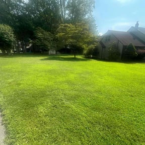 yard maintenance by Mike’s mowing and property maintenance reviewed on May 7, 2024