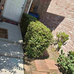 Bush Trimming by ATM reviewed on May 9, 2022