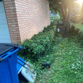Bush Trimming by Farmer's Vision LLC reviewed on May 5, 2026