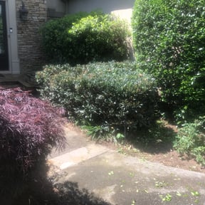 Bush Trimming by Flawless Lawn Care LLC reviewed on August 15, 2025