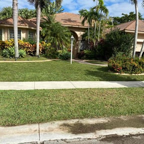 residential landscaping by Divinity Services LLC. reviewed on November 20, 2025