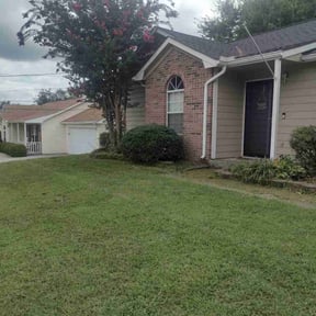 Bush Trimming by Caplan's Landscaping reviewed on November 24, 2025