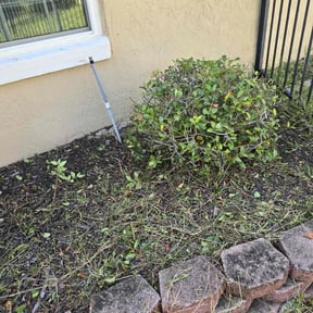 Bush Trimming by Go Green Garza Solutions reviewed on November 8, 2025