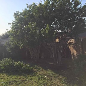 Bush Trimming by LJ's Lawn Care reviewed on August 15, 2025