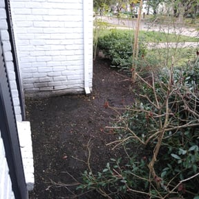 Leaf Removal by Zeroslandscape reviewed on August 30, 2024