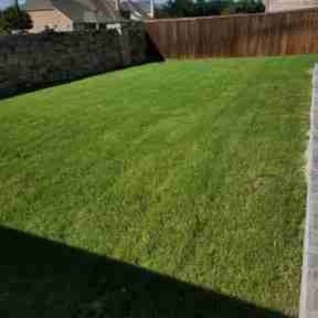 grass maintenance by Nature's Canvas reviewed on December 29, 2023