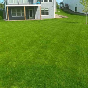 yard work by Triple S Cuts &amp; Cleanouts reviewed on November 20, 2025