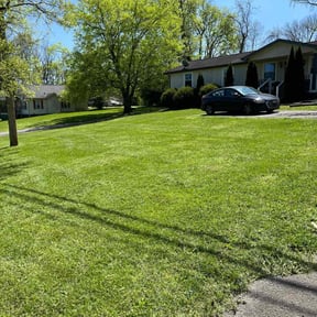 yard care by Discount Mowing reviewed on August 17, 2025