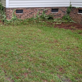 Leaf Removal by Fla Lawn Pros LLC reviewed on October 1, 2025