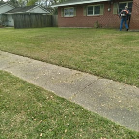 Leaf Removal by Big Dogs Property Maintenance reviewed on September 18, 2025