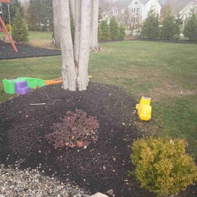 Leaf Removal by Copperfield Lawn reviewed on November 19, 2025