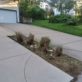 Bush Trimming by UnlimitedGroundCare. reviewed on March 14, 2024