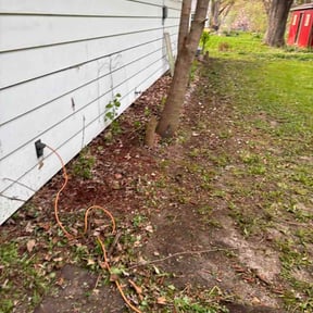 Leaf Removal by Cincy Lawn Care reviewed on June 10, 2026