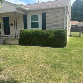 Bush Trimming by Alwaysready landscaping reviewed on November 24, 2025