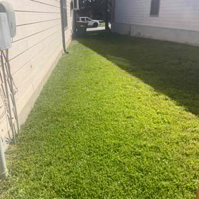 turf care by 2 corothers brother's  landscape reviewed on May 17, 2024