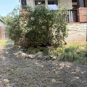 Bush Trimming by Turf Command Lawn Care reviewed on August 29, 2026