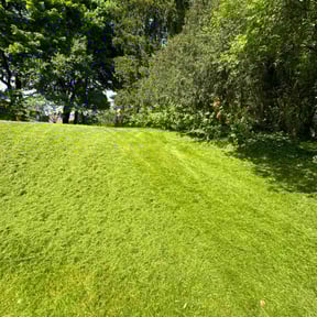 residential landscaping by Advantage Landscaping reviewed on August 13, 2025