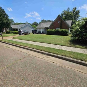 yard care by Arbor Tech Tree & Landscape reviewed on August 18, 2025