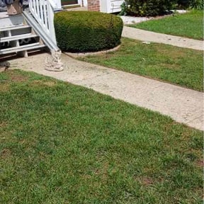 Bush Trimming by StylePro LLC reviewed on June 14, 2026