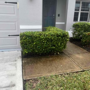 Bush Trimming by Tonys Landscaping LLC reviewed on September 6, 2023