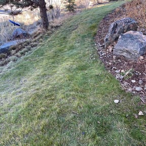 Leaf Removal by Gary&#039; s Lawn Care Service reviewed on September 18, 2025