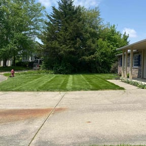 landscaping services by Babcock Enterprises LLC reviewed on August 20, 2025