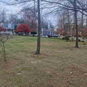 Leaf Removal by MHF Lawn Care reviewed on September 14, 2025