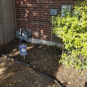 Leaf Removal by We Care Lawn Care reviewed on August 17, 2025