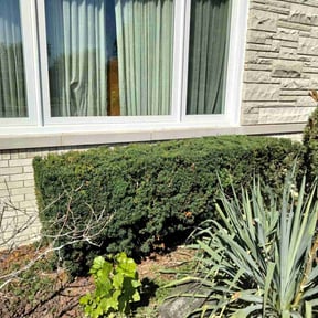 Bush Trimming by Landaeta & Gamero Investments reviewed on August 19, 2025