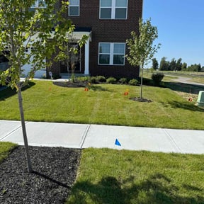 lawn service by BetterView Landscaping & Home Maintenance reviewed on June 20, 2024