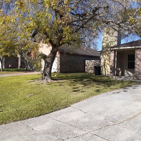 Leaf Removal by Crystal Hathaway reviewed on September 19, 2024