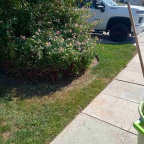 Bush Trimming by BRDOC - Lawn Care reviewed on October 20, 2025